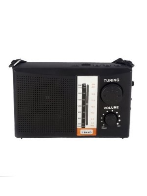 RADIO PORTATIL DE PLASTICO (AM/FM/SW1-6/ENTRADA USB/TF CARTAO) 14X4,3X8,8CM UN. IMPORIENTE