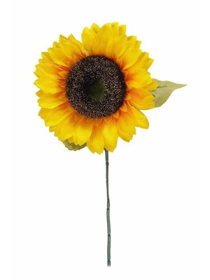 GIRASSOL SOLITÁRIO 52CM UN.