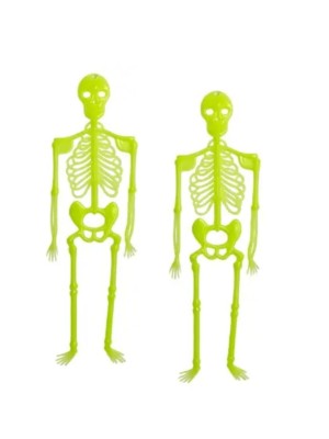 Enfeite de Plástico Caveira Halloween c/2pcs – Decoração Assustadora para Festas, Casas, Escolas e Ambientes Temáticos