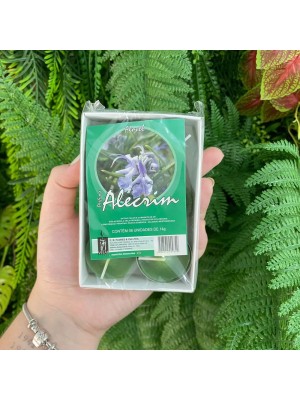 Vela Rechaud Perfumada Alecrim 14g com 6 Unidades – Velas Aromáticas para Purificação, Concentração, Energização e Decoração